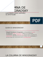 Columna de Winogradsky