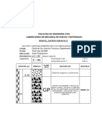 Perfil Estratigrafico