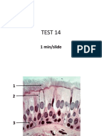 14 (1) - Modificat