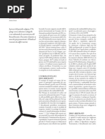 micron_17_17 ALGHE BIOD