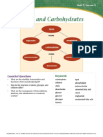 Lipids and Carbohydrates PDF