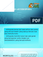 Fillum ArthRopoda 2