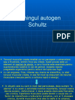 Trainingul Autogen SchultZ