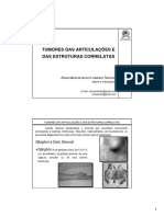 Tumores Das Articulações e Das Estruturas Correlatas