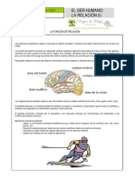 Ficha 3 Función de Relación PDF