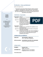 Curriculum Vitae Modelo3b Azul