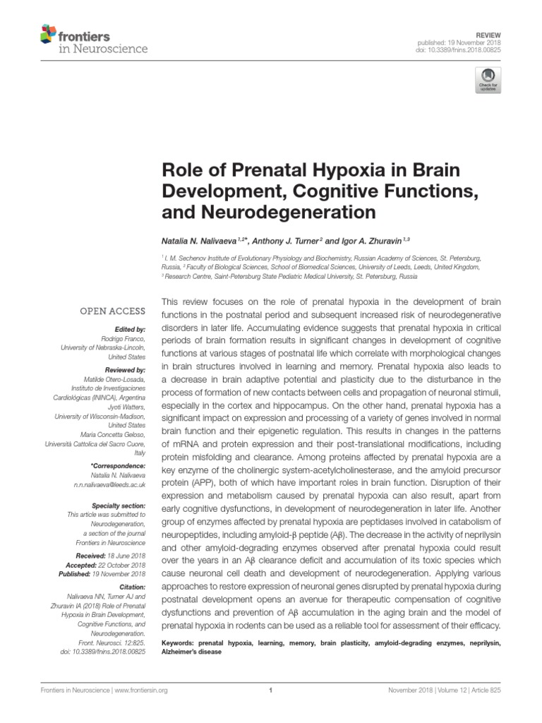 Role of Prenatal Hypoxia in Brain Development, Cognitive Functions, and ...