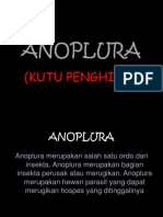 Anoplurathegeng 130515202906 Phpapp02