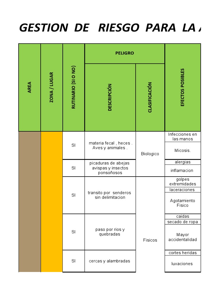 Matriz de Riesgos | PDF | Enfermedades y trastornos | Especialidades ...