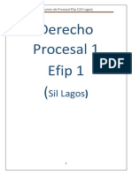 Procesal 1 Efip 1 Sil Lagos.pdf