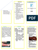 LEFLET Selulitis