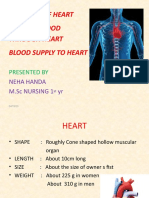Basics of Cardiovascular System, Heart