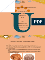 Trabajo Individual - Funcionamiento Corteza Cerebral - Pdf-Luzconstanza PDF