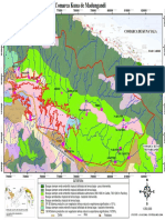 XI - Info REDD - Anexoc Mapa Vegetación - Madungandi PDF