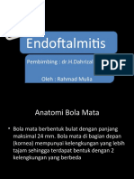 Endoftalmitis