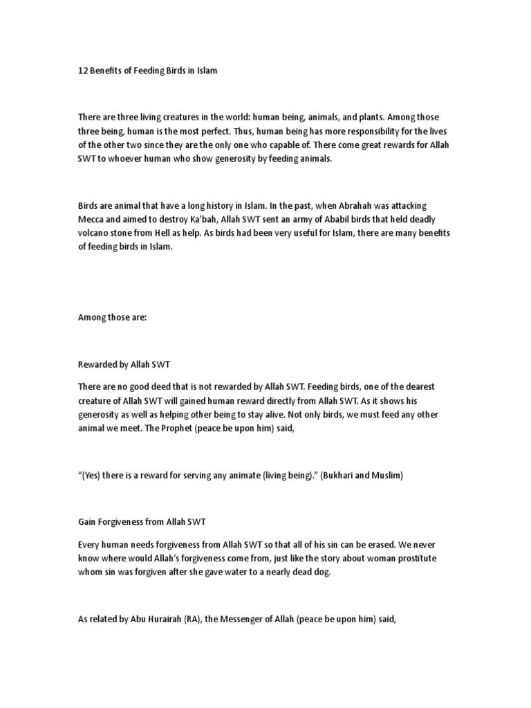 12 Benefits of Feeding Birds PDF God In Islam Muhammad