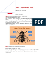 Odborka - Hmyz / Merit Bagdes - Insects