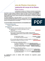 Apuntes de Morfología UNNE - 1. Organización cuerpo plantas.pdf