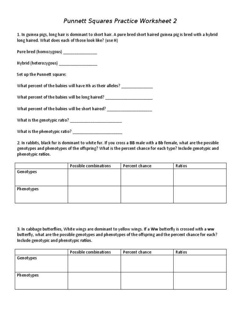 Punnett Square Practice  Genotype  Dominance (Genetics) Intended For Punnett Square Practice Worksheet