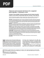 (10920684 - Neurosurgical Focus) Maternal Environmental Risk Factors For Congenital Hydrocephalus - A Systematic Review