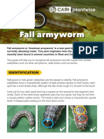 Fall Armyworm: How To Identify..