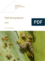 Fall Armyworm: WWW - Moccae.gov - Ae