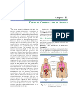 Chapter-11 (CHEMICAL COORDINATION IN ANIMALS)