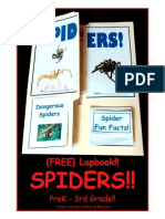 Spiders Lap Book