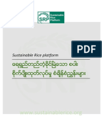 Sustainable Rice Platform Version 2