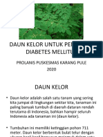 Daun Kelor Untuk Penderita Diabetes Mellitus