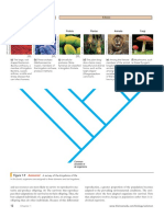 Three Domains:: Eukarya Bacteria Archaea