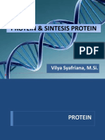 Protein & Sintesis Protein