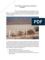 4 La Salinidad de Los Suelos PDF