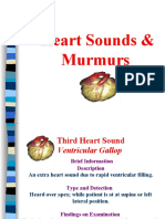 Heart Sounds & Murmurs