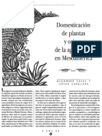 Domesticación y Origen de La Agricultura en Mesoamerica
