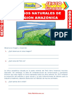 Recursos Naturales de La Región Amazónica para Sexto Grado de Primaria