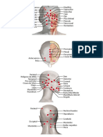 Rastreo Cabeza Biomagnetismo