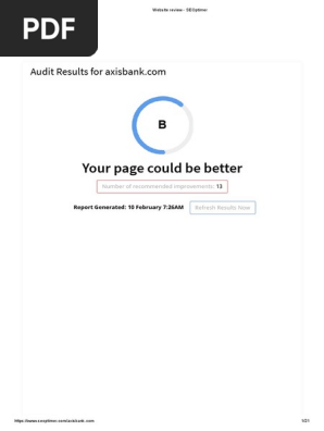 Website review - SEOptimer.pdf