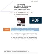 Documento Introductorio Derecho Administrativo PDF