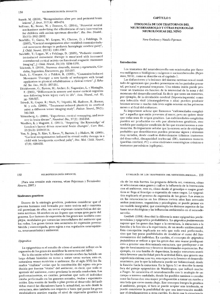 neuropsicologia-infantil-cap-5-gra-ana-y-fejerman-pdf