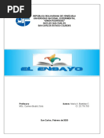 El Ensayo (Trabajo-María Bastidas)