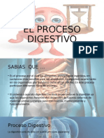 El Proceso Digestivo