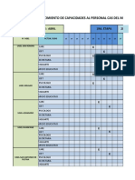 Cronograma - Capacitacion Virtual - Cas Puno - Actualizado