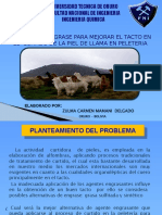 Proyecto de Grado Presentacion