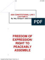 Freedom of Expression/ Right To Peaceably Assemble: 2020 Constitutional Law 2 (Lecture 3)