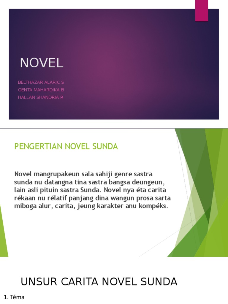 Novel