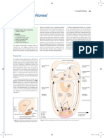 Cavidad Peritoneal PDF