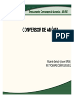 Slide Conversor de Amonia.pdf