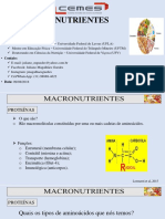 Aulas 3 e 4 Macronutrientes