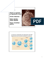 Meiosis Biologia PDF